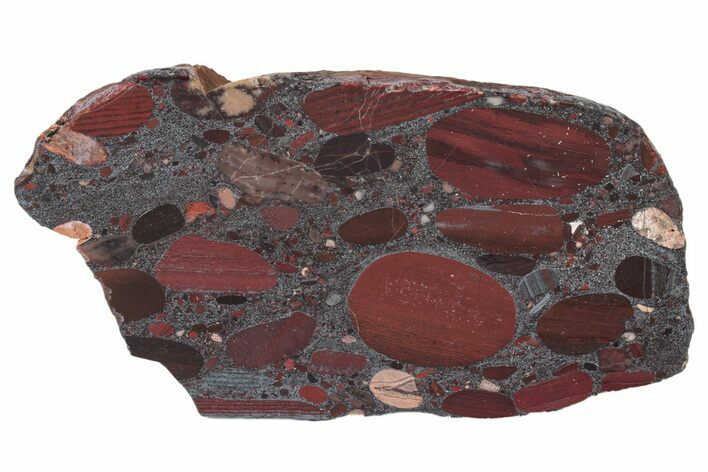 Polished Jelly Bean Jasper Section - Australia #240052